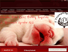 Tablet Screenshot of buldogangielski.com